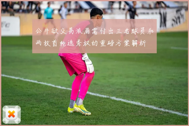公牛欲交易浓眉需付出三名球员和两枚首轮选秀权的重磅方案解析