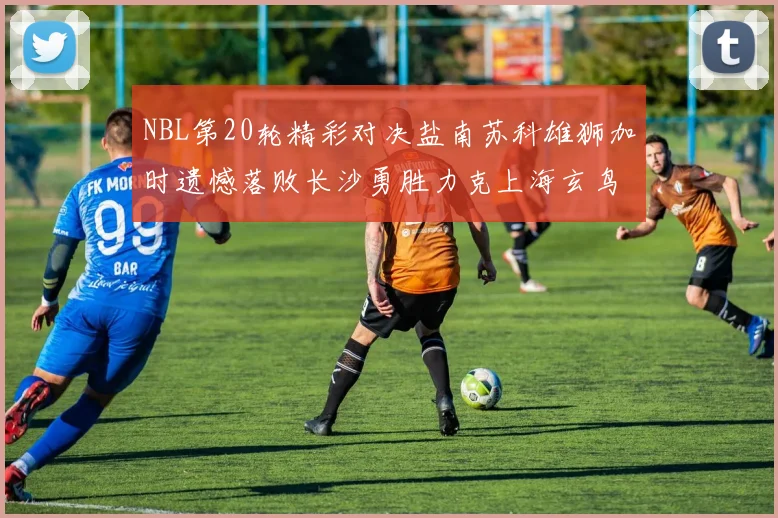 NBL第20轮精彩对决盐南苏科雄狮加时遗憾落败长沙勇胜力克上海玄鸟