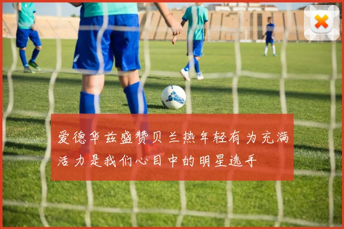 爱德华兹盛赞贝兰热年轻有为充满活力是我们心目中的明星选手