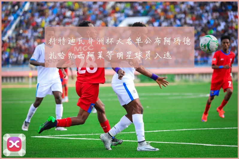 科特迪瓦非洲杯大名单公布阿玛德扎哈凯西阿莱等明星球员入选